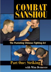 combat-sanshou-part-one-striking